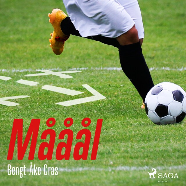 Book cover for Mååål