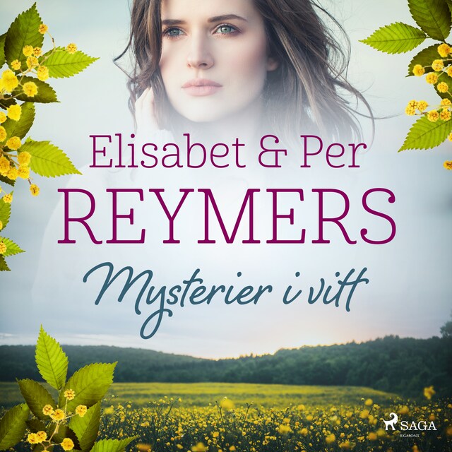 Book cover for Mysterier i vitt