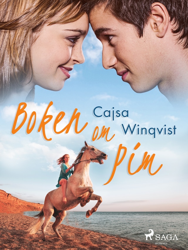 Book cover for Boken om Pim