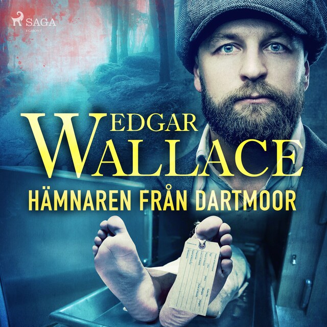 Book cover for Hämnaren från Dartmoor