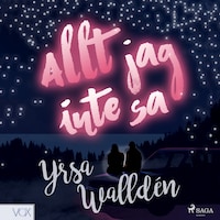 Allt jag inte sa