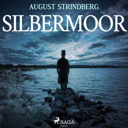 Das Silbermoor (Ungekürzt) bookCoverFor