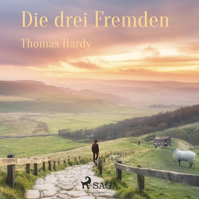 Book cover for Die drei Fremden (Ungekürzt)