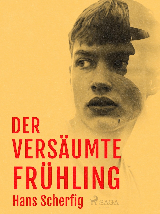 Book cover for Der versäumte Frühling