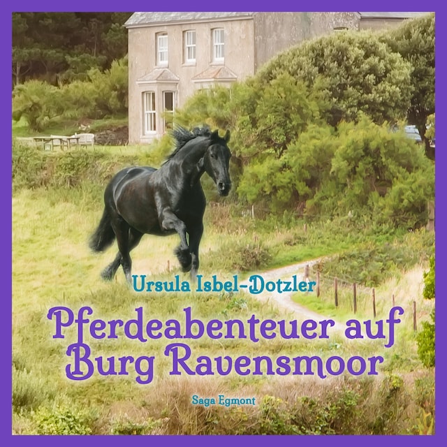 Book cover for Pferdeabenteuer auf Burg Ravensmoor (Ungekürzt)