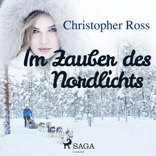 Im Zauber des Nordlichts als Hörbuch