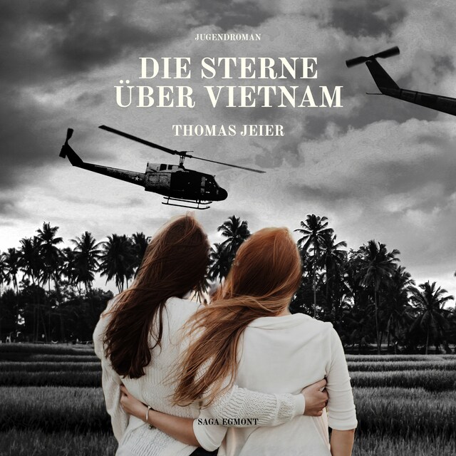 Boekomslag van Die Sterne über Vietnam