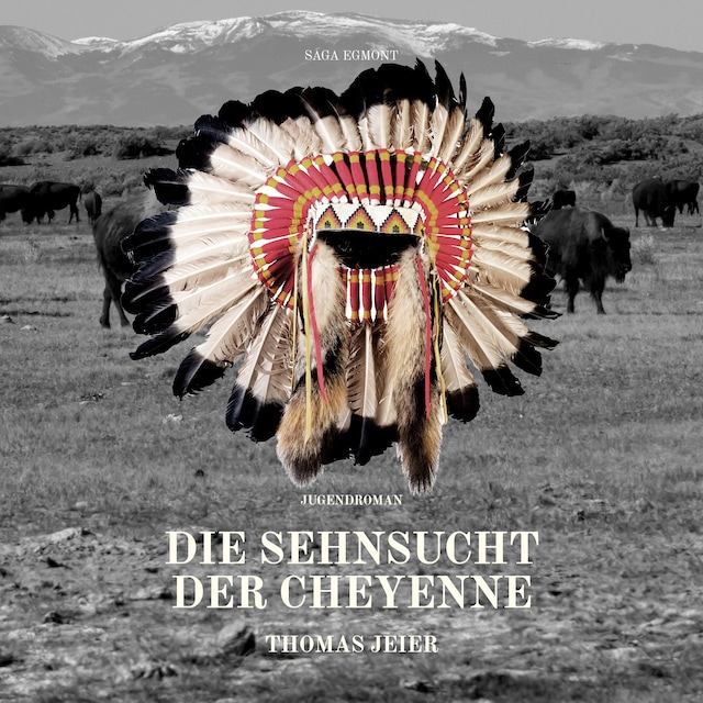 Boekomslag van Die Sehnsucht der Cheyenne