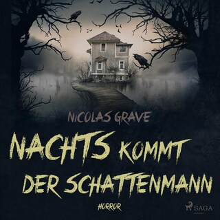 Nachts kommt der Schattenmann als Hörbuch
