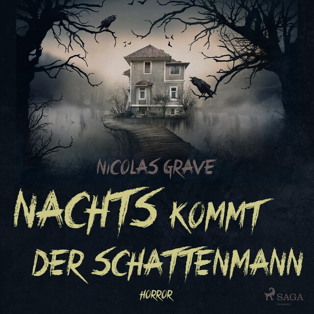 Couverture de livre pour Nachts kommt der Schattenmann