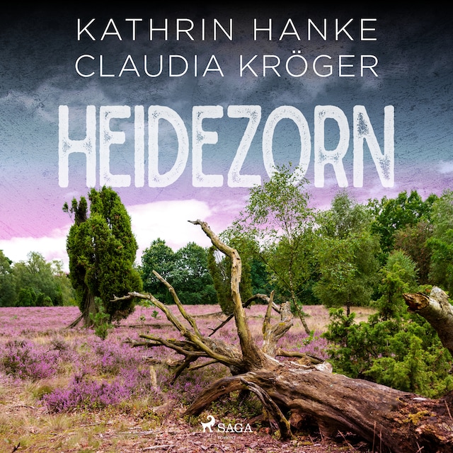 Book cover for Heidezorn (Katharina von Hagemann, Band 5)