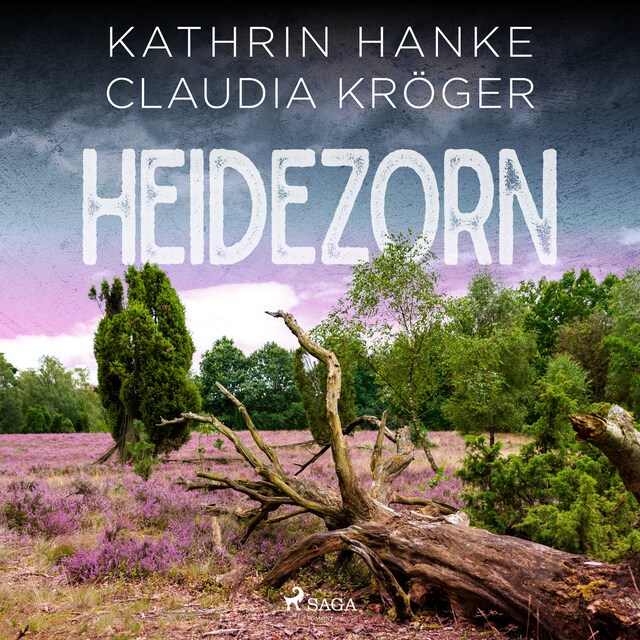 Buchcover für Heidezorn (Katharina von Hagemann, Band 5)