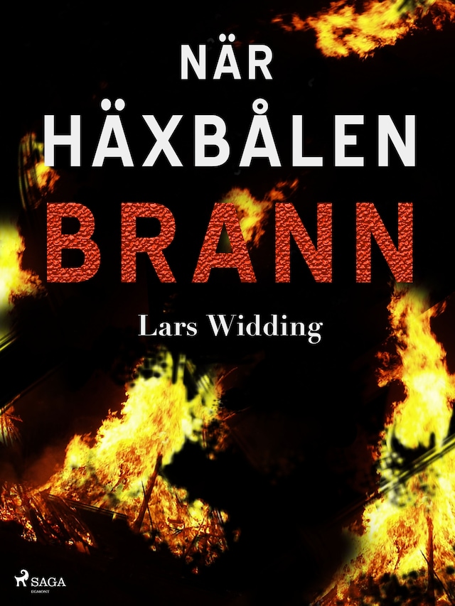 Couverture de livre pour När häxbålen brann