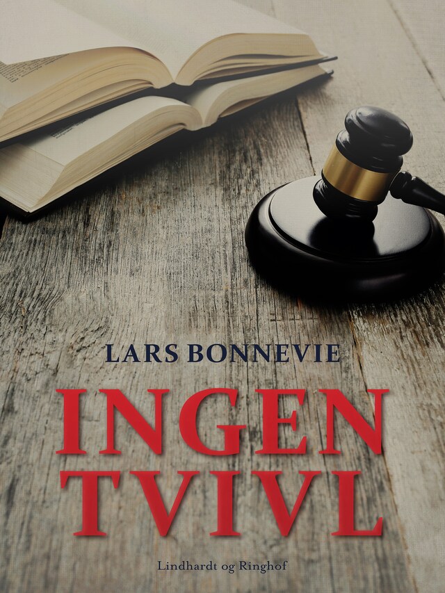 Book cover for Ingen tvivl