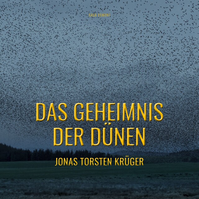 Book cover for Das Geheimnis der Dünen - Gefährliche Ferien auf Norderney