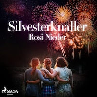 Silvesterknaller - Vulkanausbruch in der Eifel 2010/11 (Ungekürzt)