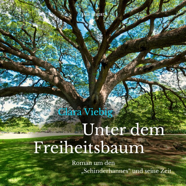 Book cover for Unter dem Freiheitsbaum - Roman um den "Schinderhannes" und seine Zeit (Ungekürzt)