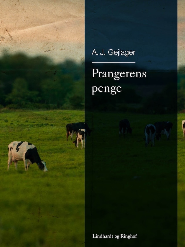 Book cover for Prangerens penge
