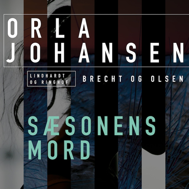 Book cover for Sæsonens mord