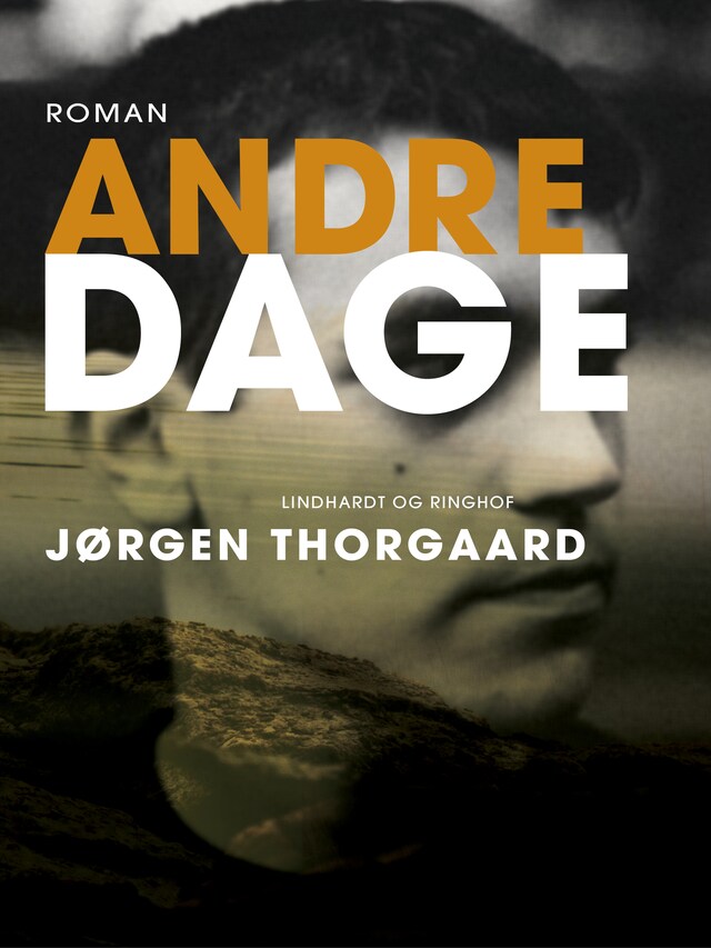 Book cover for Andre dage