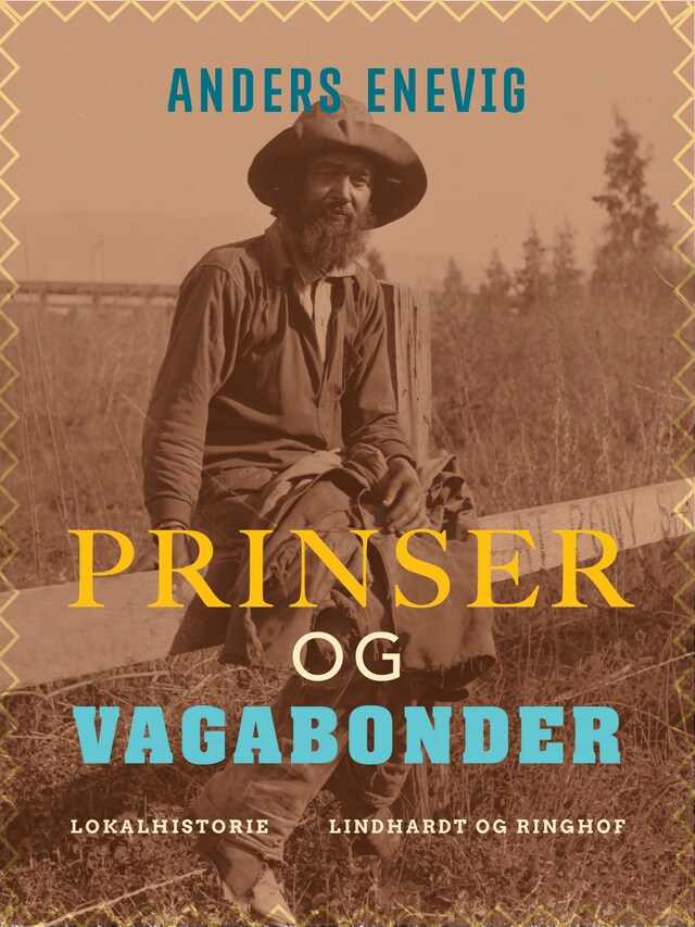 Bogomslag for Prinser og vagabonder