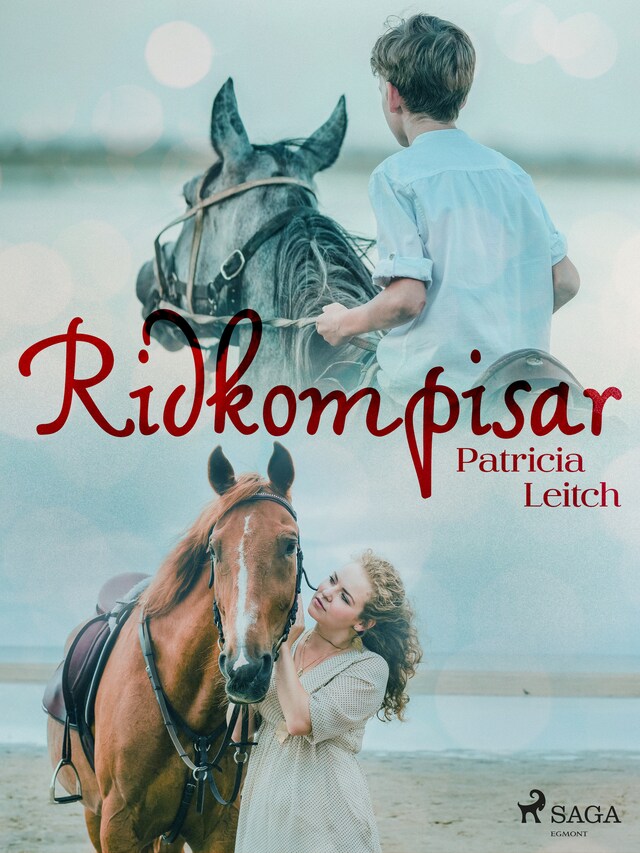 Book cover for Ridkompisar