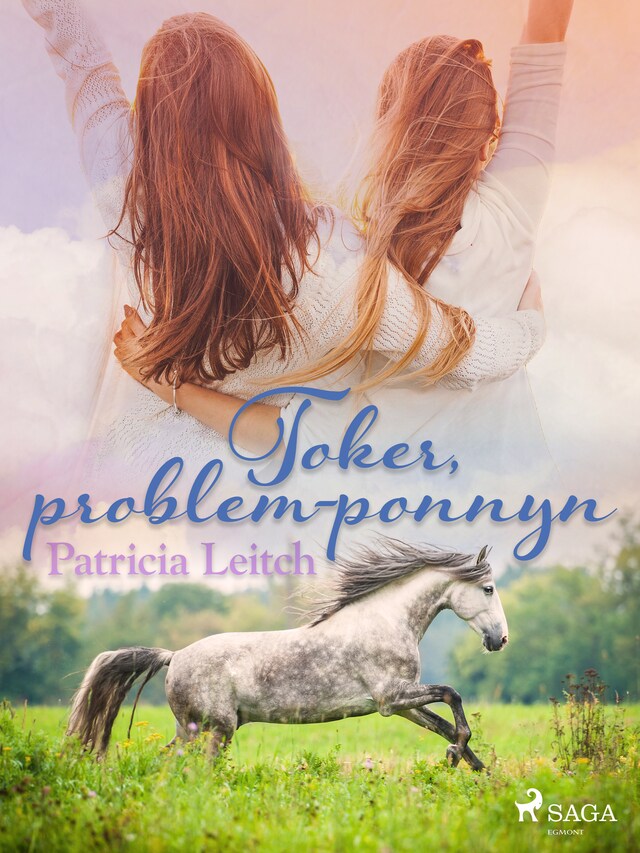 Portada de libro para Toker, problem-ponnyn