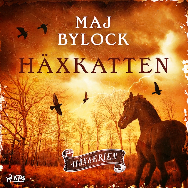 Book cover for Häxkatten