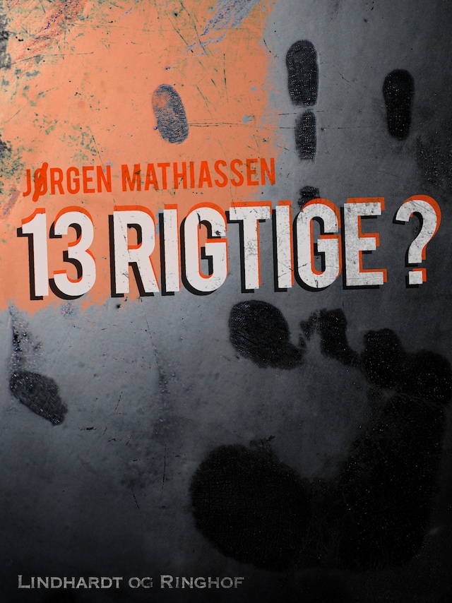 Book cover for 13 rigtige?
