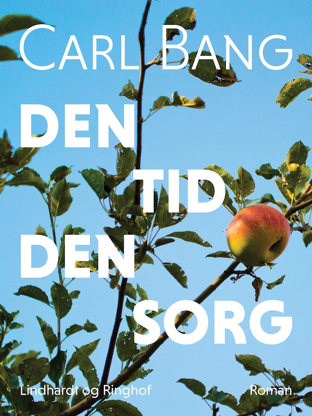 Book cover for Den tid den sorg
