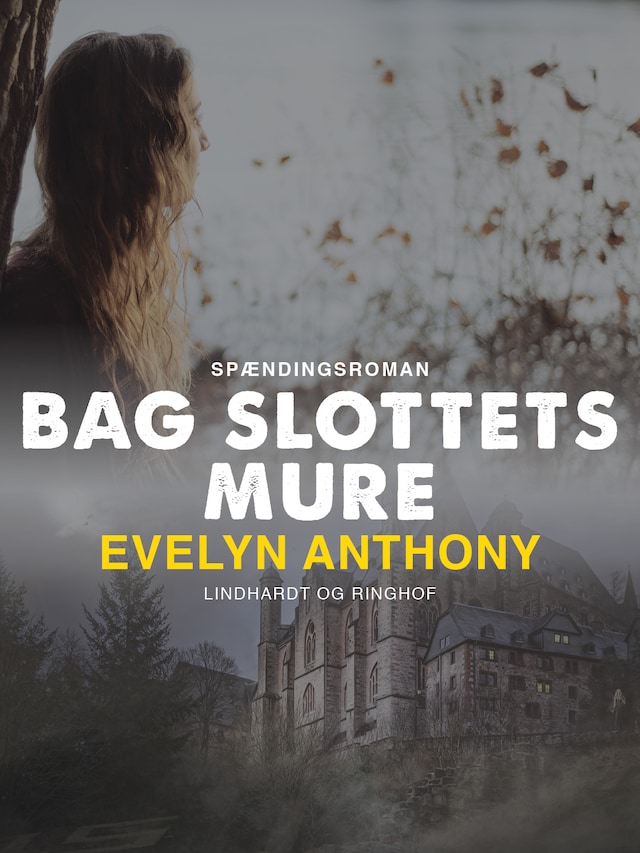 Book cover for Bag slottets mure