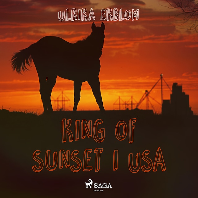 Kirjankansi teokselle King of Sunset i USA