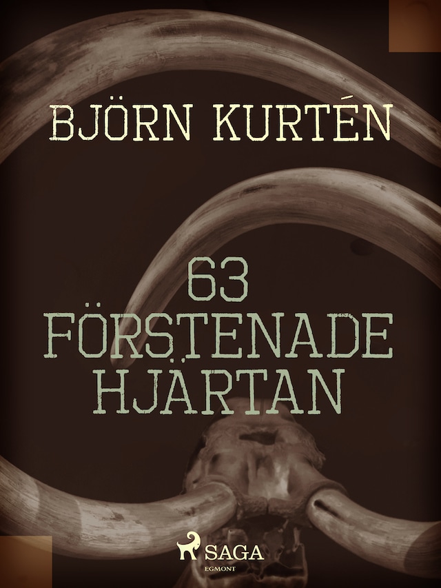 Couverture de livre pour 63 förstenade hjärtan