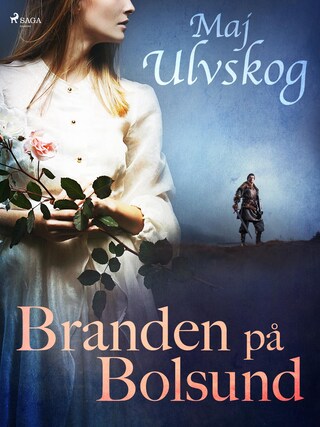 Branden på Bolsund bookCoverFor