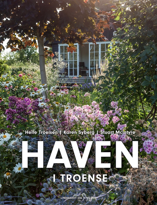 Book cover for Haven i Troense