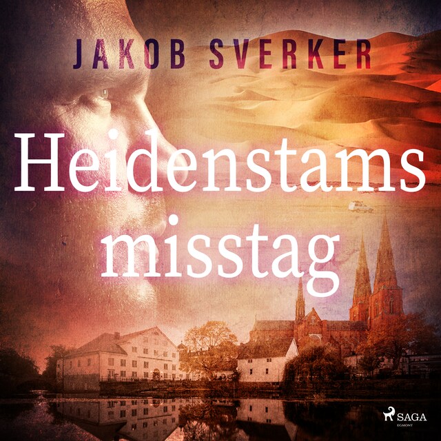 Book cover for Heidenstams misstag