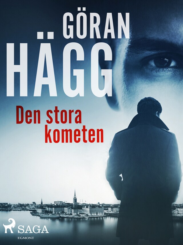 Okładka książki dla Den stora kometen