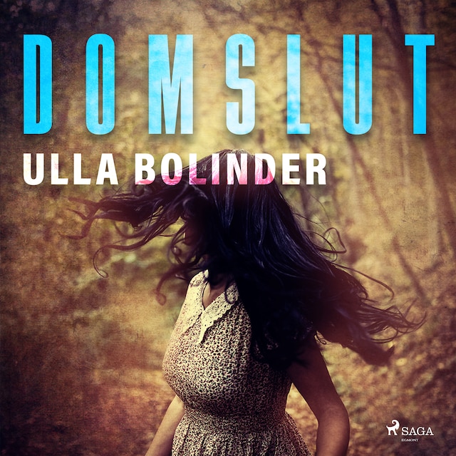 Book cover for Domslut