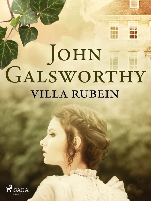 Book cover for Villa Rubein