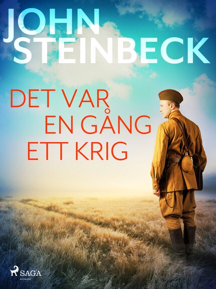 Det var en gång ett krig bookCoverFor