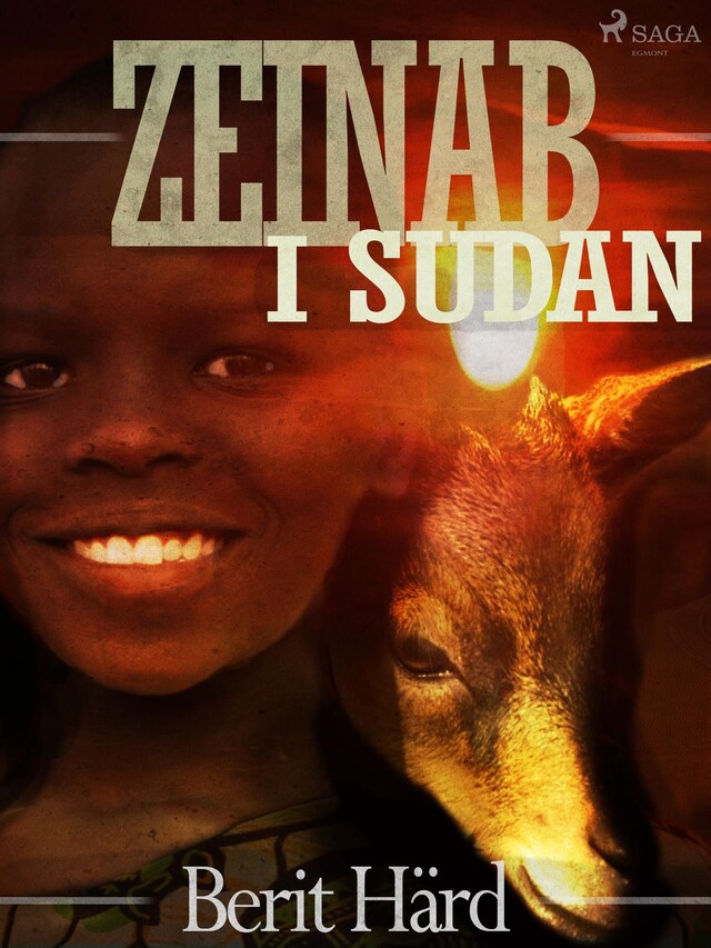 Bokomslag för Zeinab i Sudan