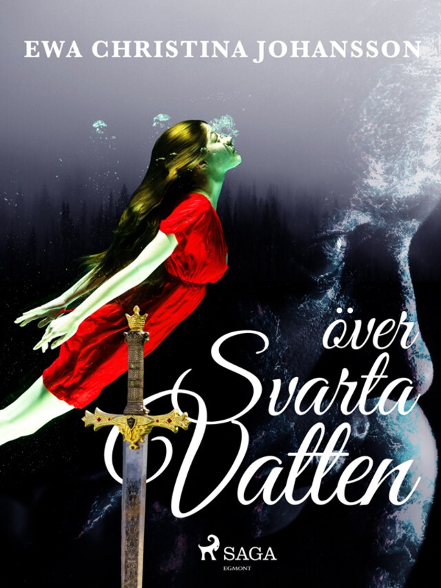 Book cover for Över svarta vatten