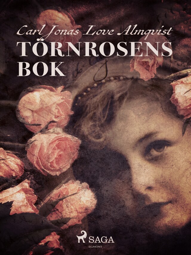 Book cover for Törnrosens bok