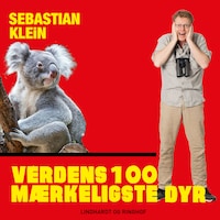 Verdens 100 mærkeligste dyr, Koalabjørnen