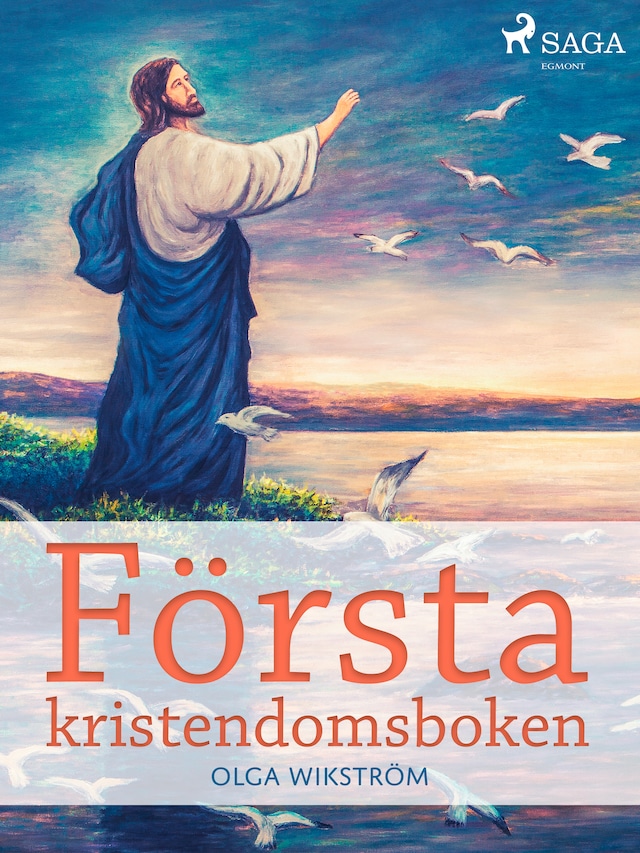 Okładka książki dla Första kristendomsboken