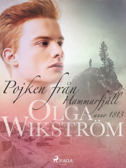 Pojken från Hammarfjäll : anno 1813 bookCoverFor