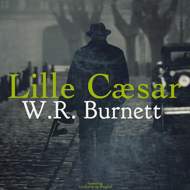 Book cover for Lille Cæsar