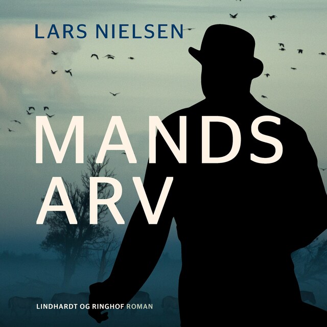 Book cover for Mands arv