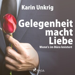 Gelegenheit macht Liebe - Wenn's im Büro knistert als Hörbuch