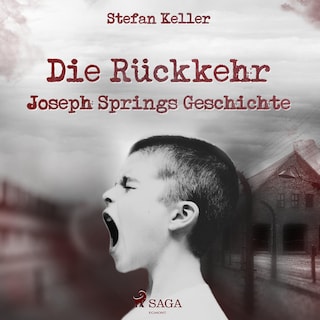Die Rückkehr - Joseph Springs Geschichte (Ungekürzt) als Hörbuch